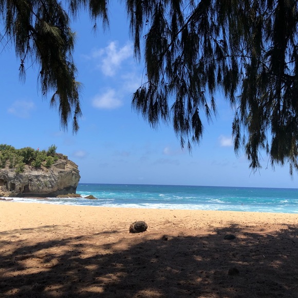 Meet your Posher, Emmy - Picture 10 of 10